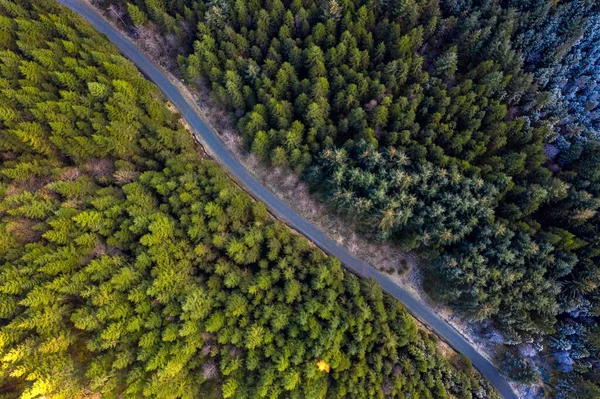 Повітряний Верхній Знімок Пишної Дороги Через Ялинові Ліси — стокове фото