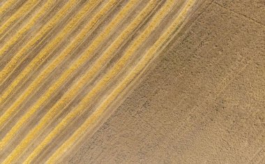 hasat edilen buğday tarlalarının, tarımın, kırsal alanların en üst görüntüsü