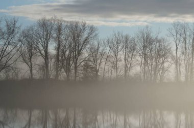 Göl, sahildeki yapraksız ağaçları yansıtan sisle kaplıydı..