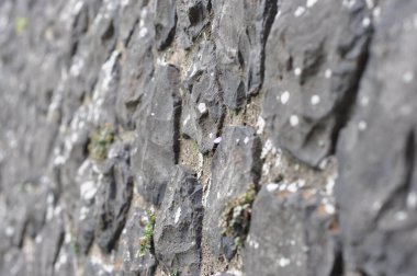 Taşların arasından çimen parçaları çıkan taş iskele duvar dokusunun yakın çekimi.