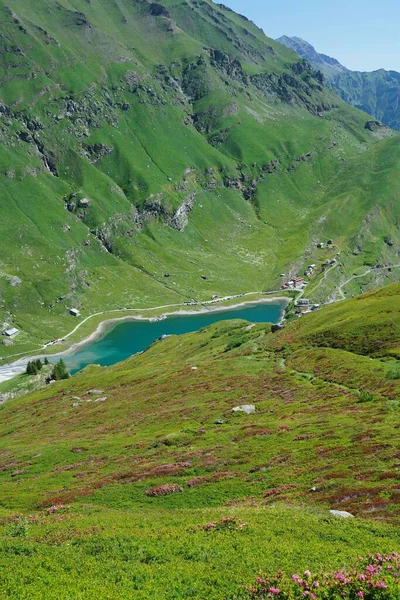 Plan Vertical Petit Lac Dans Les Alpes — Photo
