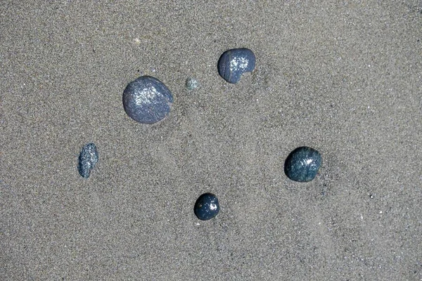 Фон Маленьких Каменів Пляжі Раковиною — стокове фото