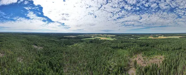 Een Panoramisch Uitzicht Weelderige Groene Bossen Tegen Een Blauwe Bewolkte — Stockfoto
