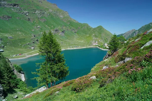 Uno Scenario Piccolo Lago Nelle Alpi — Foto Stock