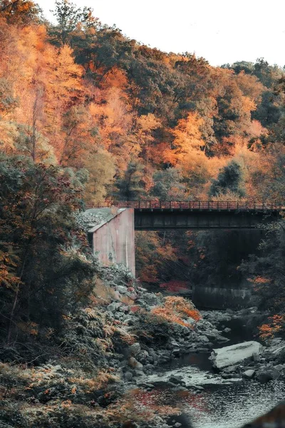 Viejo Puente Las Montañas Del Bosque Pequeño Arroyo Agua —  Fotos de Stock