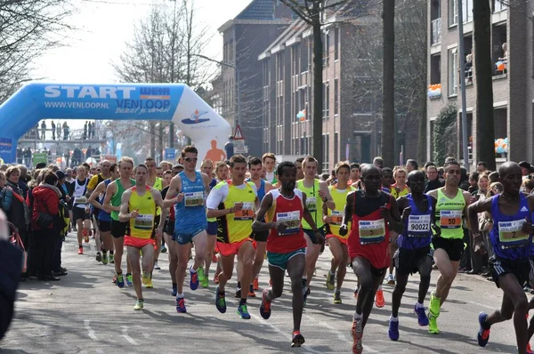 Los Corredores Inicio Media Maratón Venloop Venlo Países Bajos —  Fotos de Stock