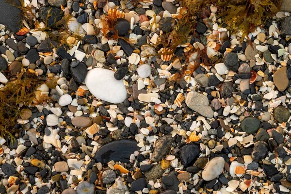 Фон Багатьох Маленьких Каменів Пляжі Водою Хвиль Відступають — стокове фото