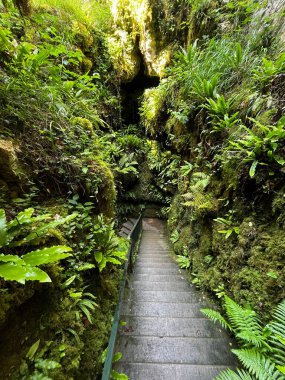 Koruluktaki merdivenlerin dikey görüntüsü.