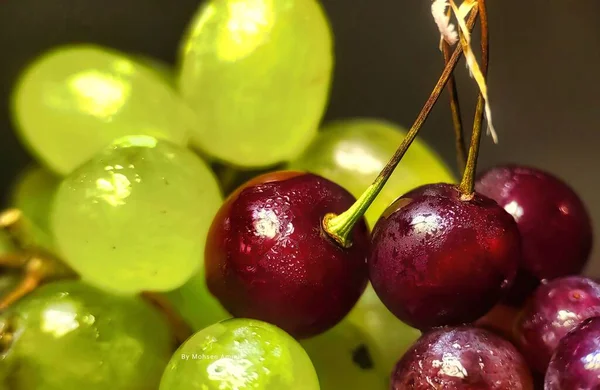 Gros Plan Cerises Sauvages Sur Fond Flou — Photo