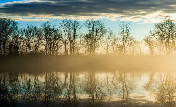 Sabahları Gölün Güzel Manzarası Sahildeki Yapraksız Ağaçları Yansıtıyor — Stok fotoğraf