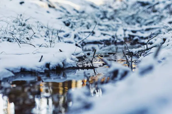 Tiro Close Corrente Congelada Inverno — Fotografia de Stock