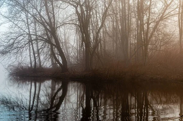 湖面映衬着岸上无叶的树木 — 图库照片