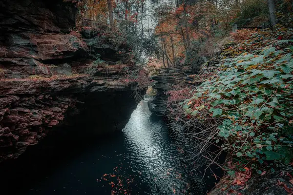 Uma Vista Superior Rio Que Flui Através Rochas Final Outono — Fotografia de Stock