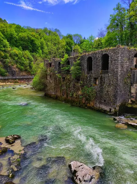 Vertical Shot Stone Ruins Old Factory River French Forest — Stock Photo, Image