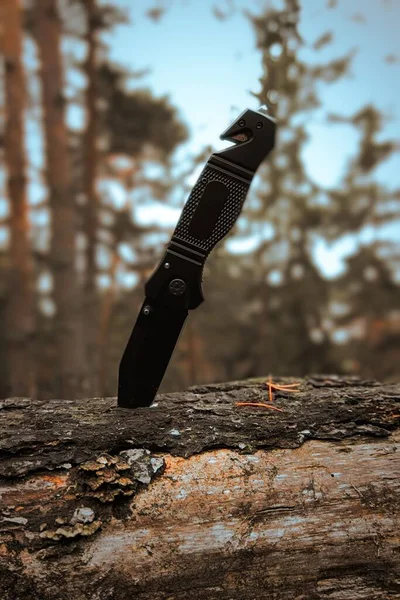 Gündüz Vakti Ormanda Tahta Bir Kütüğe Saplanmış Keskin Bir Bıçağın — Stok fotoğraf