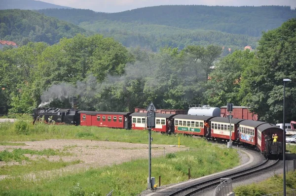 Una Locomotora Vapor Hsb Estación Wernigerode Harz Alemania — Foto de Stock