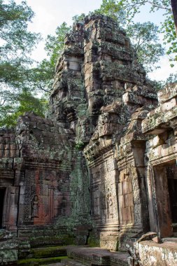 Angkor Wat tapınağının tanrı heykelleriyle dikey bir görüntüsü, Kamboçya