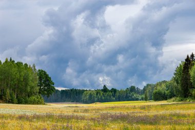 Yeşil ağaçlı altın çayırın üzerindeki güzel bulutlu manzara..