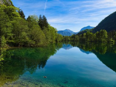 Sudaki ağaçların yansımasıyla sakin gölün güzel bir manzarası.