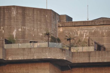 Yüksek sığınaklar, eski uçaksavar kuleleri, Hamburg, Almanya 'da çatı terası ve palmiye ağaçları.
