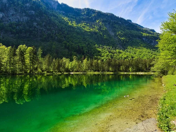 Piękny Widok Spokojne Jezioro Odbiciem Drzew Wodzie — Zdjęcie stockowe