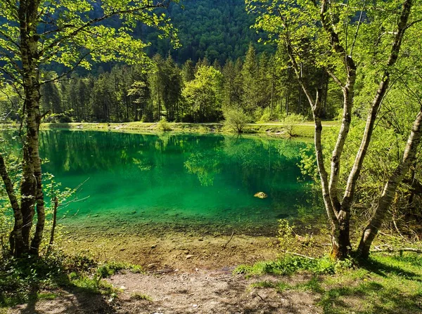 Прекрасний Вид Спокійне Озеро Відображенням Дерев Воді — стокове фото