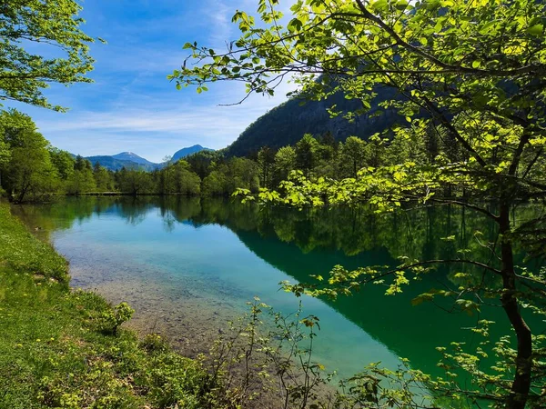 Beautiful View Calm Lake Reflection Trees Water — Stock Photo, Image
