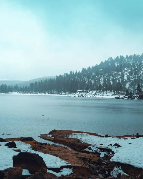 Eine Vertikale Aufnahme Einer Wunderschönen Waldlandschaft Winter Mit Einem See — Stockfoto
