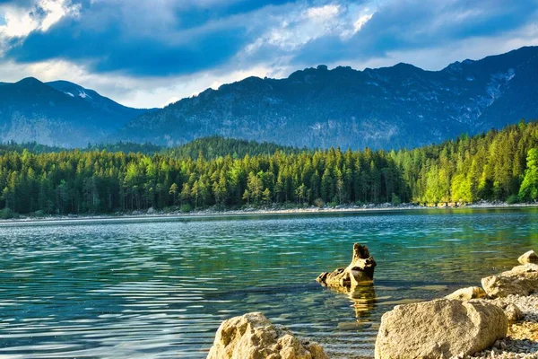 Piękny Widok Spokojne Jezioro Odbiciem Drzew Wodzie — Zdjęcie stockowe