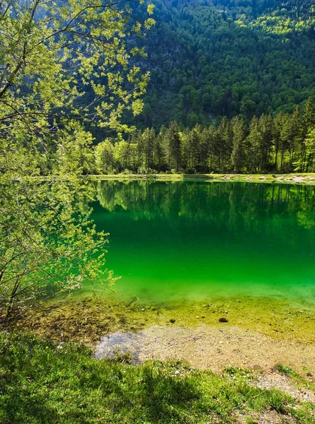 Ein Schöner Blick Auf Den Ruhigen See Mit Reflexion Der — Stockfoto