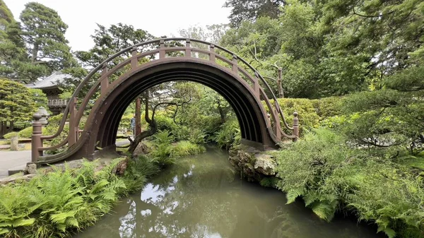 Parktaki Nehrin Üzerinde Yeşil Bitkilerle Çevrili Yuvarlak Bir Köprü — Stok fotoğraf