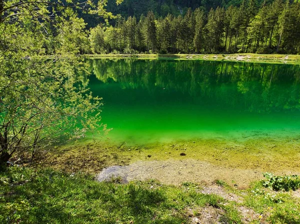 Une Belle Vue Sur Lac Calme Avec Reflet Des Arbres — Photo