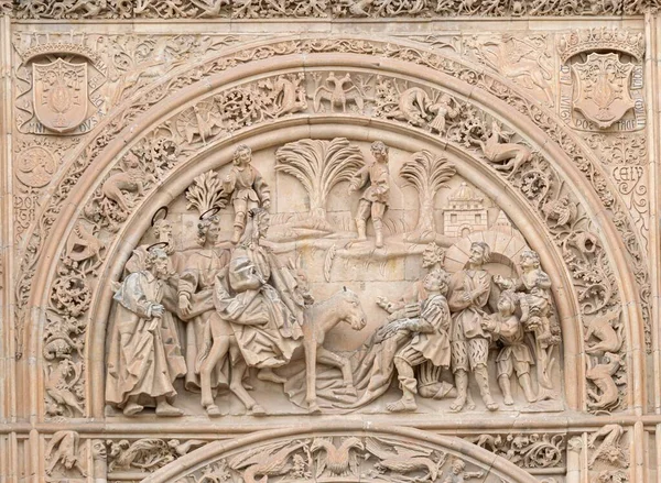 Kivi Bas Helpotus Tympanum Kämmenellä Kansi Goottilainen Katedraali Salamanca — kuvapankkivalokuva