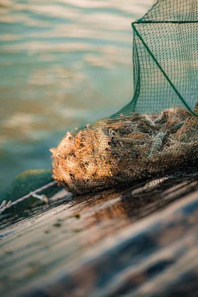海の近くにエビの束を持つ漁網の垂直ショット — ストック写真