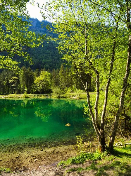 Beautiful View Calm Lake Reflection Trees Water — Stock Photo, Image