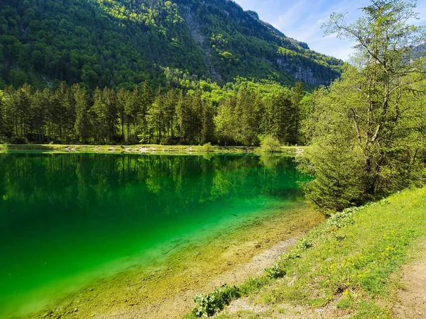 Прекрасний Вид Спокійне Озеро Відображенням Дерев Воді — стокове фото