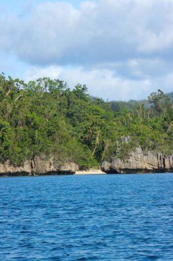 Filipinler sahilinde ağaçlarla birlikte kayalıkların dikey görüntüsü.