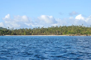 Güneşli bir günde güzel mavi bir deniz Filipinler 'de ağaçlarla