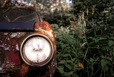 Bahçede, ısırgan otlarının arasında terk edilmiş eski paslı bir arabanın yakın çekimi.