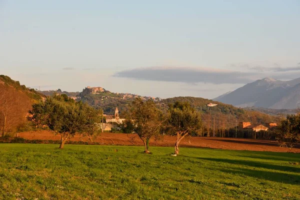 Ett Vackert Jordbruksfält Med Höstträd Mot Molnig Himmel Caiazzo Italien — Stockfoto