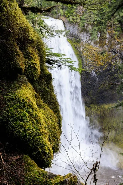 Uma Vista Deslumbrante Das Salt Creek Falls Oregon — Fotografia de Stock