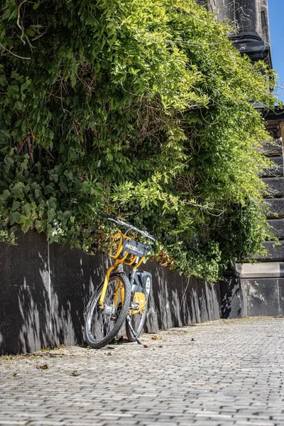 Eine Vertikale Aufnahme Eines Leihfahrrads Das Der Nähe Eines Grünen — Stockfoto