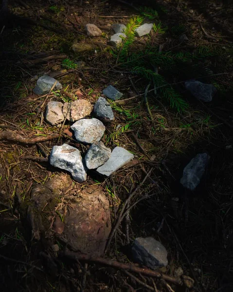 阳光照射在森林中的地面上的岩石的一个垂直的镜头 — 图库照片
