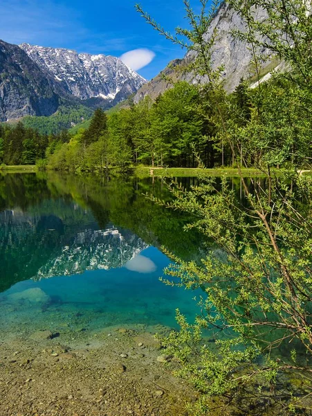 Вертикальный Снимок Красивой Природы Bluntausee Горами Растительностью Отражающейся Чистом Озере — стоковое фото