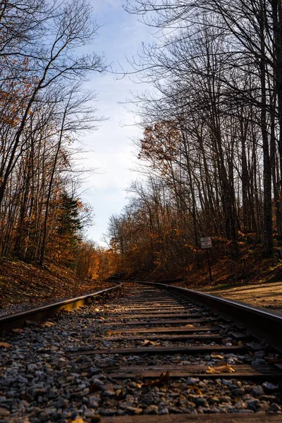 Eine Eisenbahn Mit Bäumen Auf Der Seite — Stockfoto