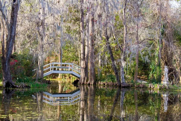 초목으로 둘러싸인 연못에 귀여운 — 스톡 사진