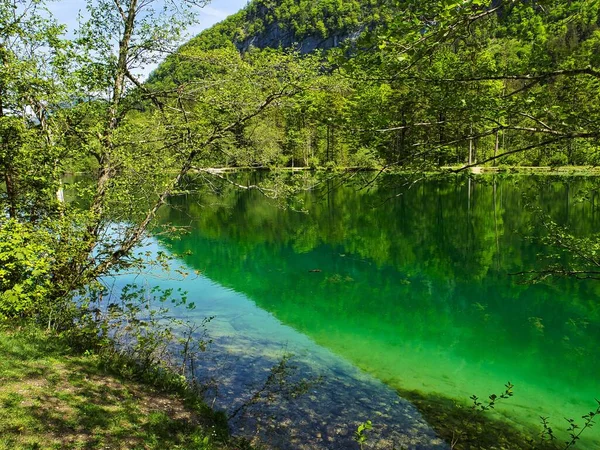 Вид Озеро Блунтаузі Оточений Деревами Сонячний День Зальцбурзі Австрія — стокове фото