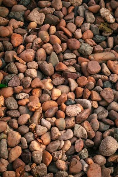 Eine Vertikale Aufnahme Von Bunten Strandsteinen Hintergrund Hochauflösende Textur — Stockfoto