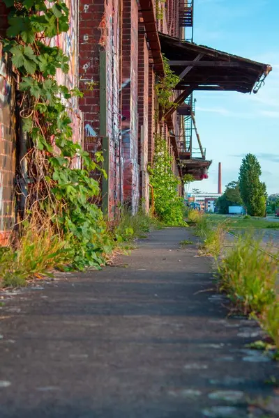 Een Verticaal Schot Van Een Smalle Stoep Naast Oude Gebouwen — Stockfoto