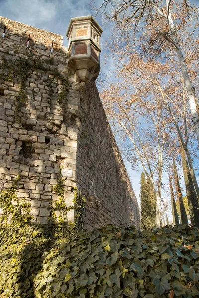 Gammel Vegg Bygning Som Overgrodd Med Blader Girona – stockfoto